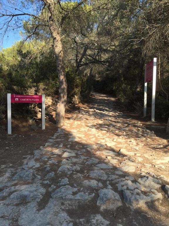 شقة La Mundial Formentera إس بويولس المظهر الخارجي الصورة